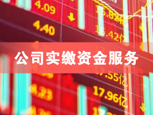 辽源公司实缴资金服务